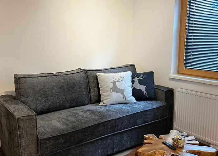 Alpen Kirchberg Appartement *